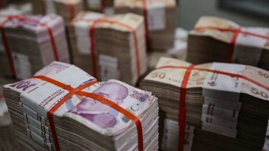 Turkish Treasury borrows $1.13B from domestic markets
