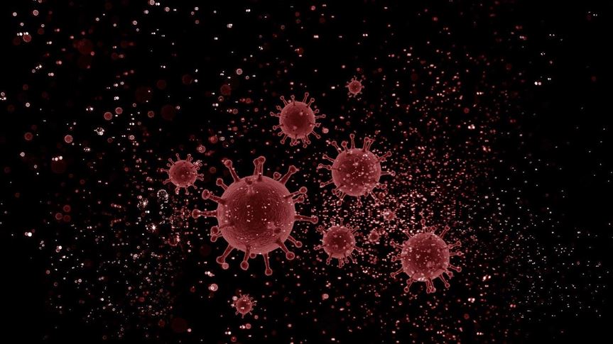 Djibouti reports its first coronavirus death