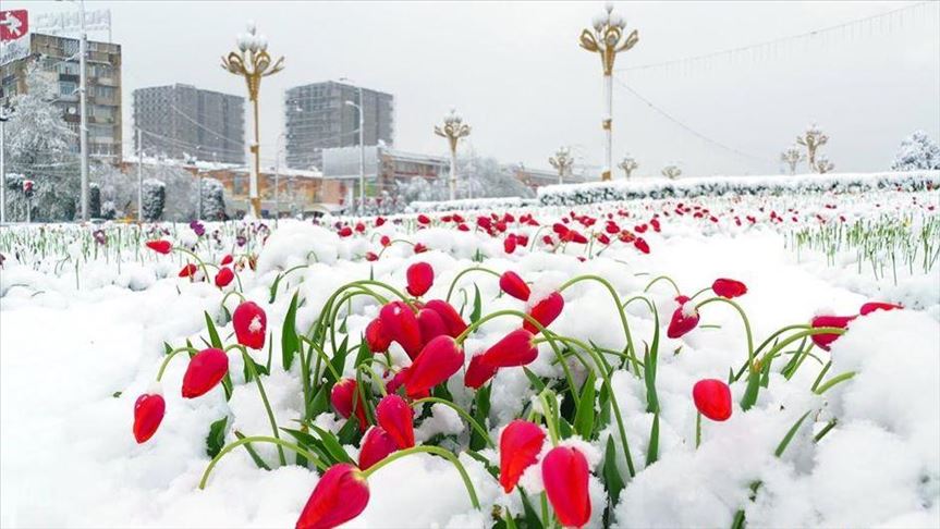 В Душанбе впервые за 26 лет в апреле выпал снег