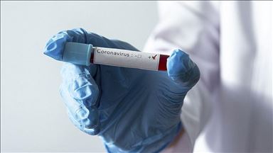 Turkish Cyprus 'reaches plateau' in virus outbreak