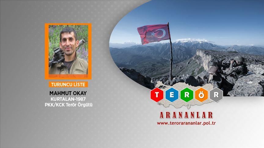 Senior wanted YPG/PKK terrorist caught in E. Turkey