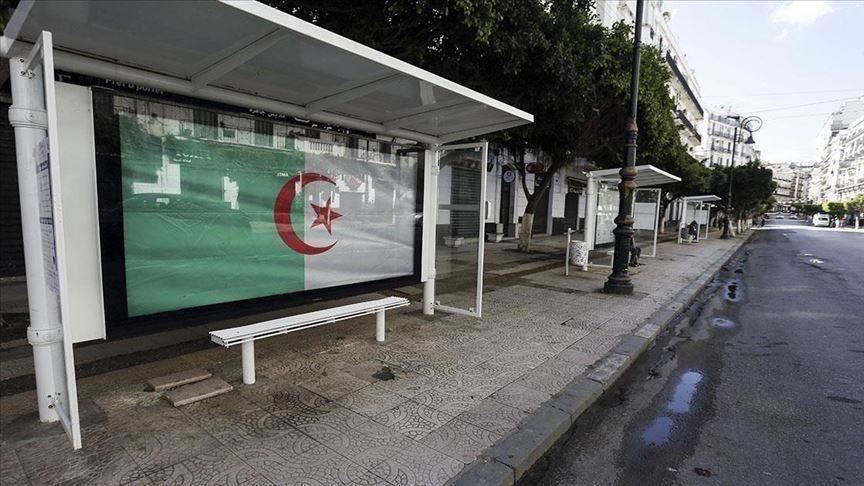 الجزائر.. وصول 250 مواطنا من العالقين بالإمارات