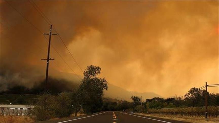 Ukraine: Wildfire stopped before spreading to Chernobyl