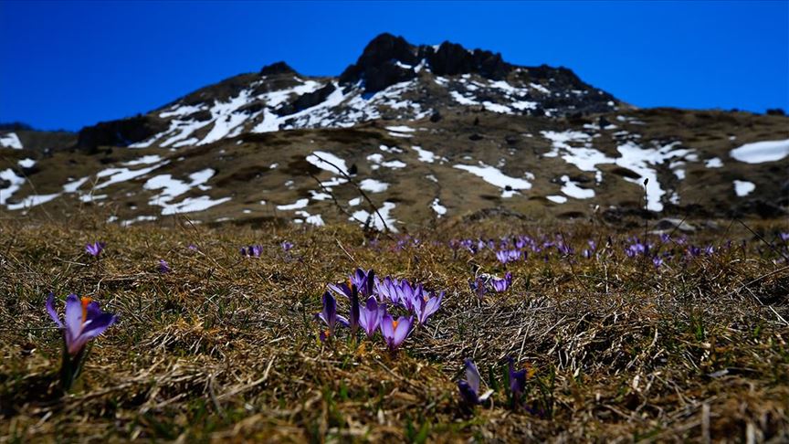 Proljeće na bh. planinama: Netaknuta priroda od sela Sinanovići do Crvenog kuka