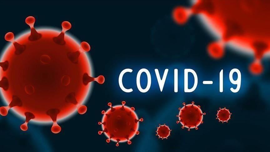 Les contaminations par le nouveau coronavirus dépassent la barre des 2,5 millions dans le monde 