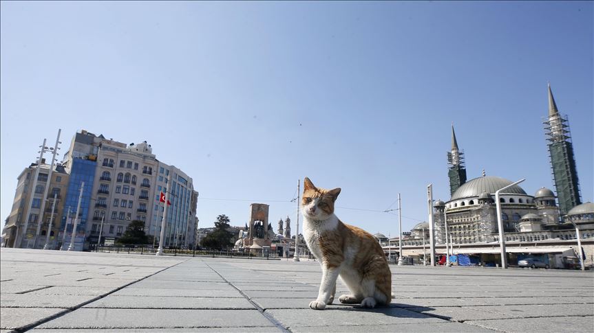 Turkey To Impose Curfew In 31 Provinces Amid Covid 19