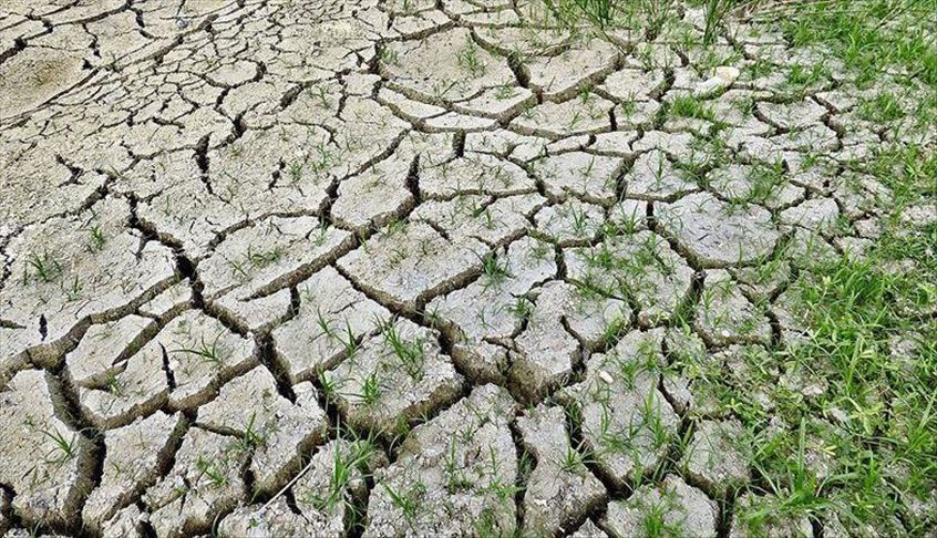 Pandemic intensifies climate change's impact: UN agency