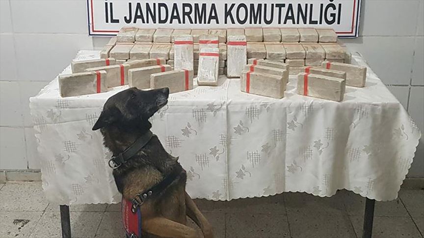 Nearly 115 kg of heroin seized in SE Turkey