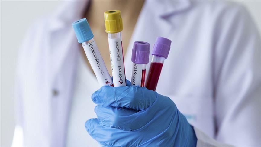 Qatar : 608 nouvelles contaminations par le Covid-19, le total grimpe à 7 141 cas
