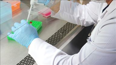 СМИ: Британские ученые испытают на людях вакцину от Covid-19