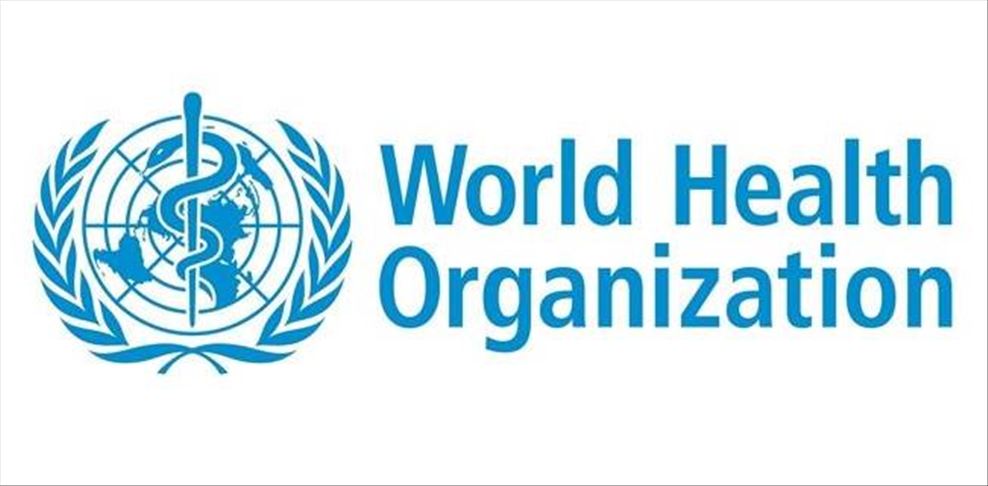 COVID-19 cases stabilizing in Turkey: WHO official