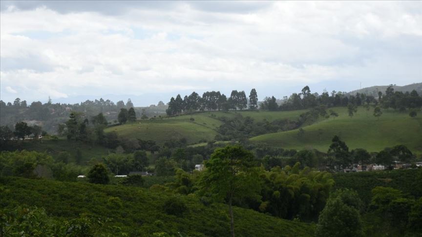 ONU advierte que grupos armados aprovechan la pandemia para “ganar territorio” en Colombia
