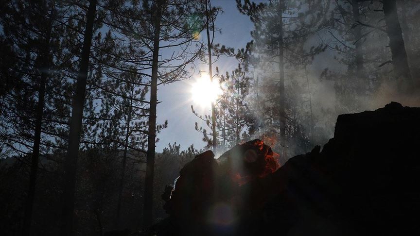 Kastamonu'da çıkan örtü yangını söndürüldü