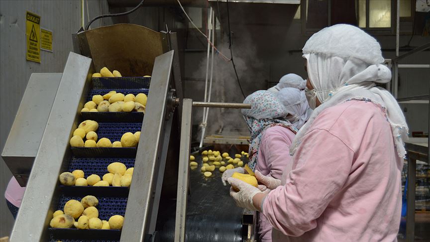 Tüketicinin patates püresine ilgisi arttı