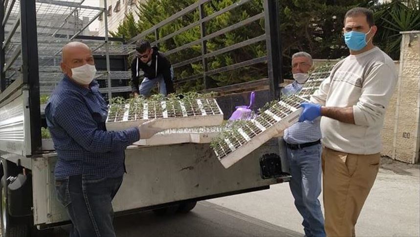 Palestine encourages residents to grow vegetables in lockdown
