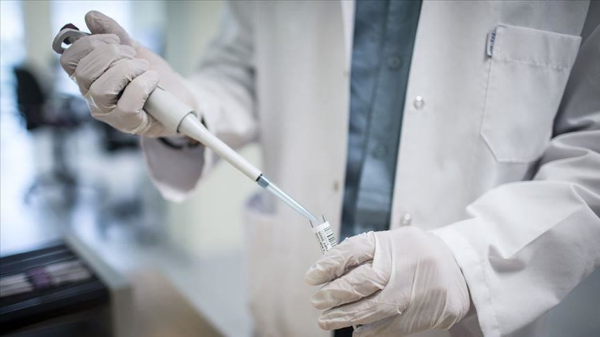 France allows 'exceptional' use of plasma therapy
