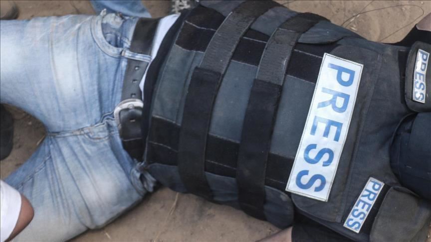 Over 700 citizen journalists killed in Syria: Watchdog