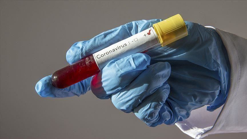 Coronavirus cases in Africa top 41,000