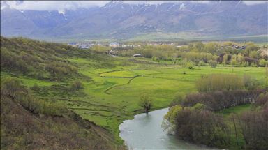 طبیعت بهاری در اواجیک ترکیه
