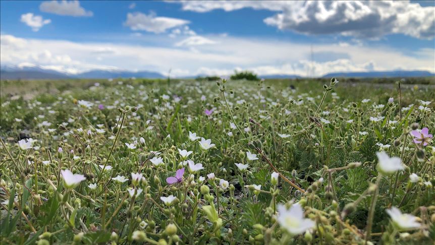 Turquie: Les montagnes d'Igdir offrent un paysage digne d'une carte postale 