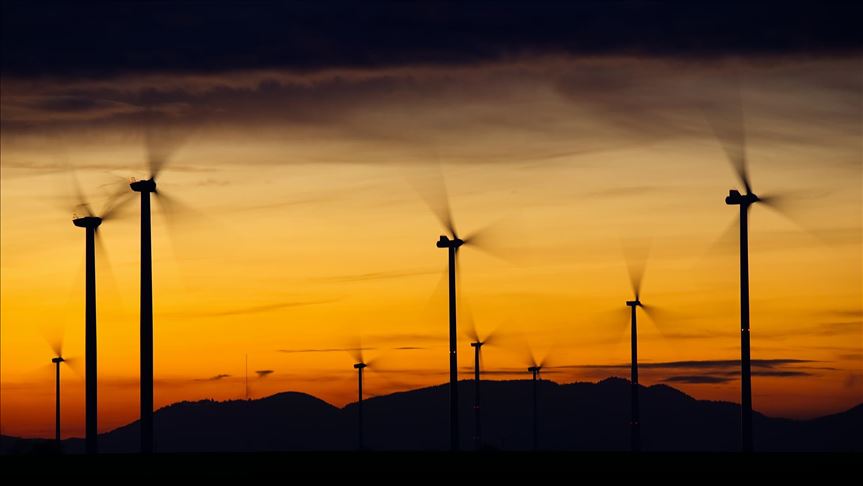 Global renewables use 1.5% higher than last year: IEA