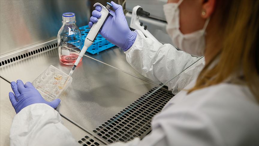 Hepatit C Ilaclarinin Kovid 19 Tedavisinde Potansiyel Adaylar Oldugu Belirlendi