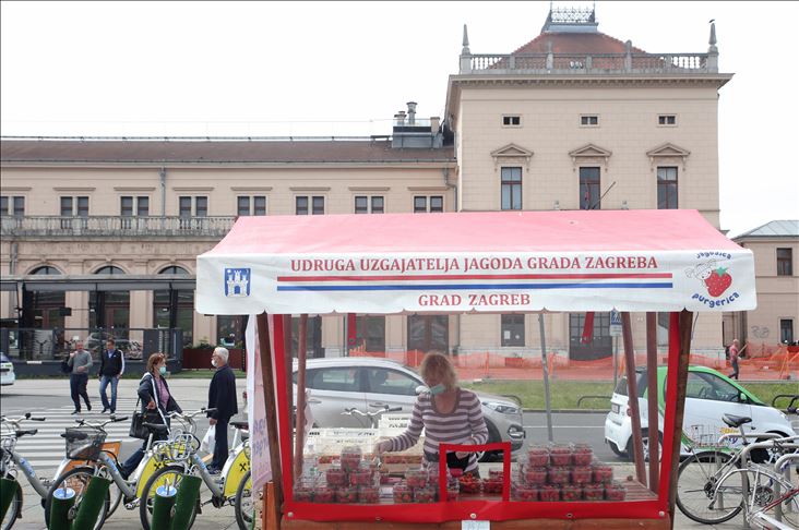 Dani zagrebačkih jagoda unatoč epidemiji