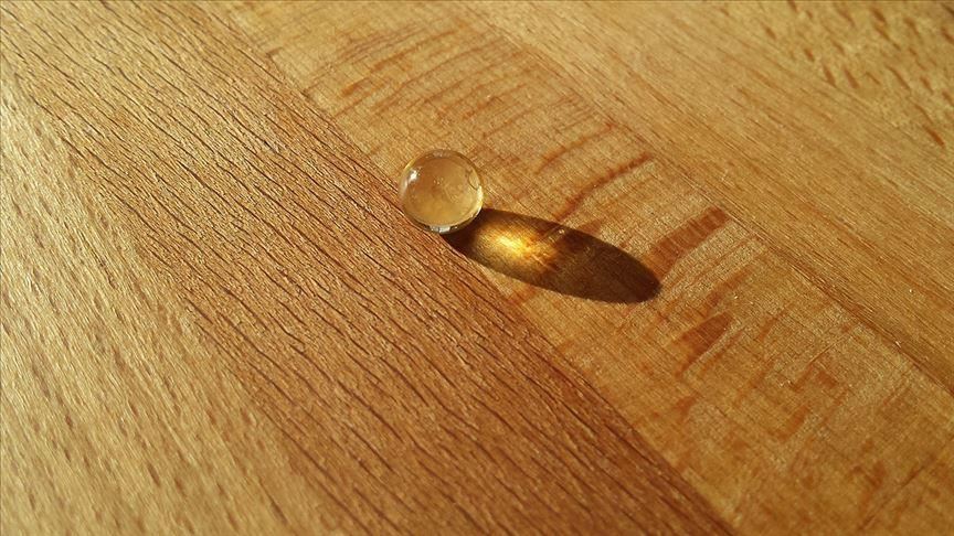 Shkencëtarët zbulojnë një lidhje mes mungesës së vitaminës D dhe vdekjeve nga COVID-19