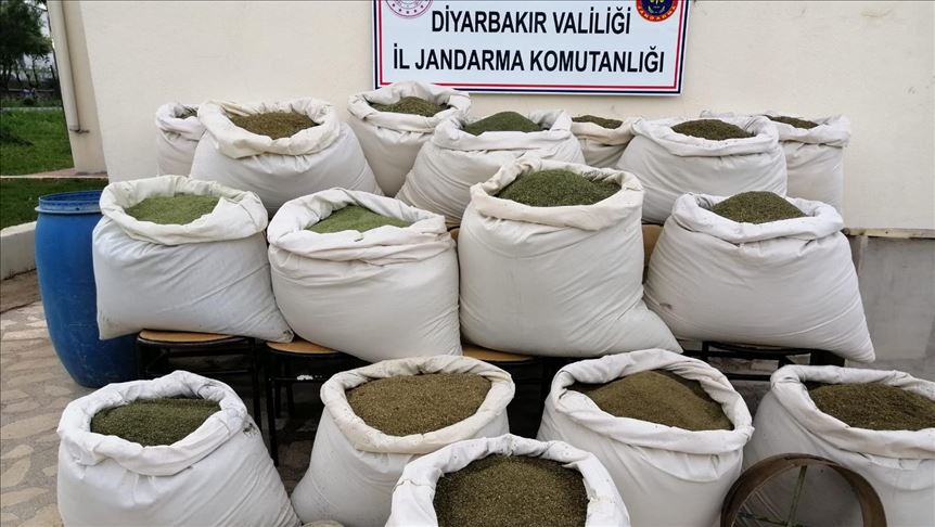 Over 800 kg of marijuana seized in SE Turkey