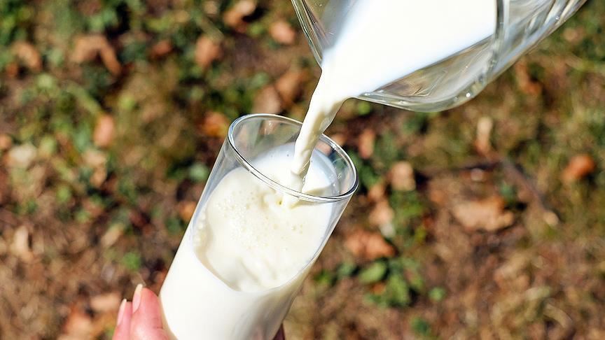 Turkey's milk production up over 6% in Q1