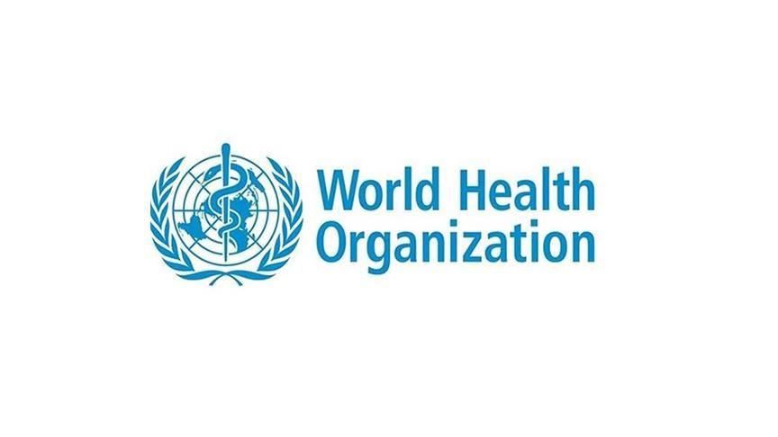 WHO holds meeting with African traditional medicine experts