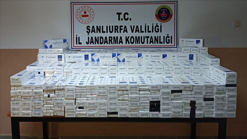 Turkey: Over 450 kg contraband tobacco seized