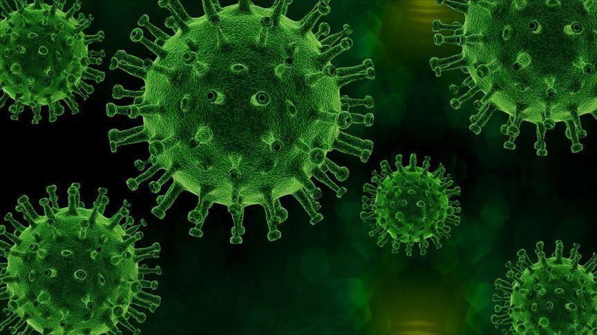 Speech droplets likely way COVID-19 spreads: US study