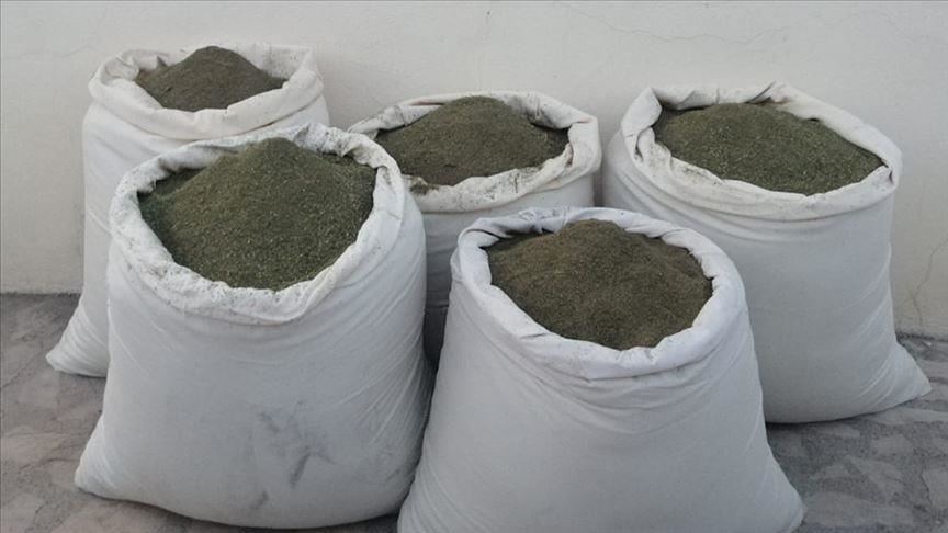 Over 300 kg of marijuana seized in southeastern Turkey