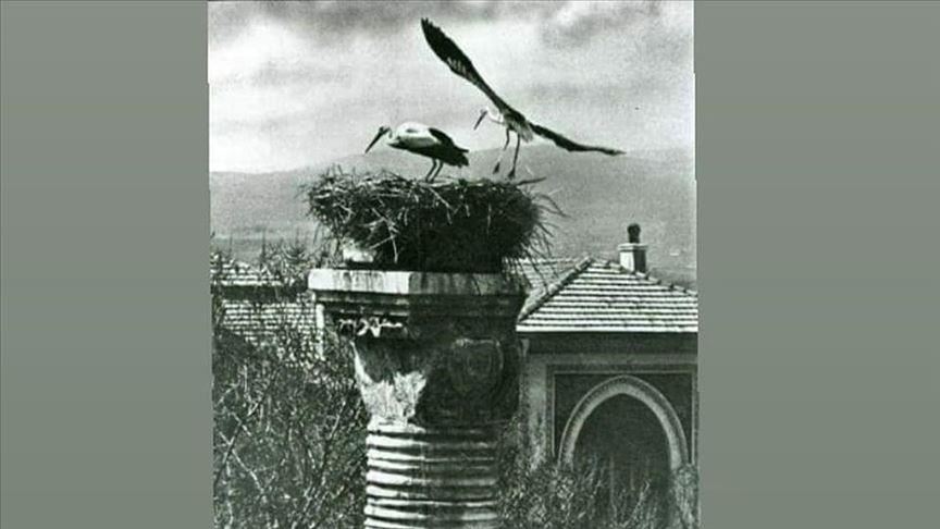 Ankara historic landmark awaits storks
