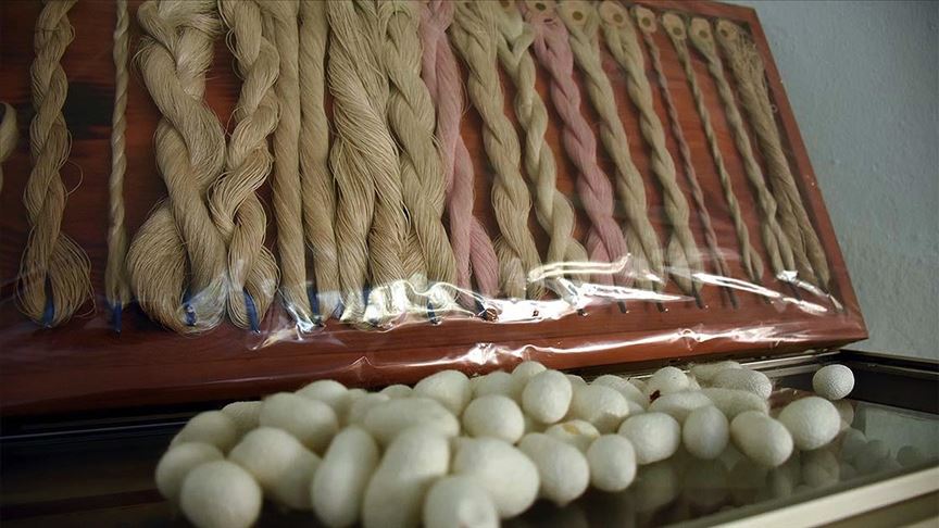 Kozadan ipeğe 'mucizevi' dönüşüm