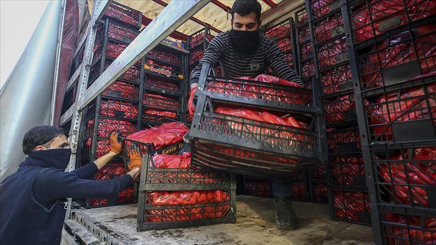 افزایش 22 درصدی صادرات میوه و تره‌بار ترکیه در 4 ماه نخست امسال