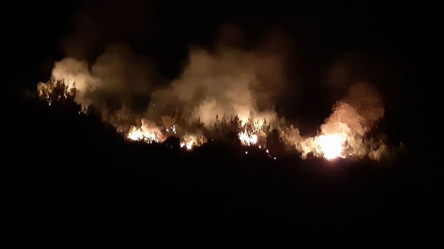 Adana’da orman yangını 