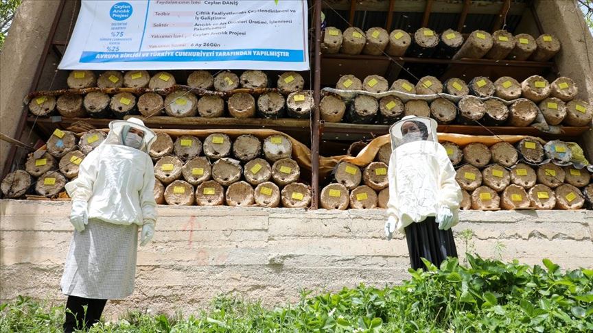 Vanlı kadın arıcı, ürettiği karakovan balıyla arıcılıkta söz sahibi olmayı hedefliyor