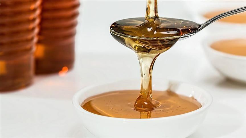 Turkey produces over 109,000 tons of honey in 2019