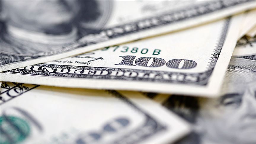 ABD'de bir aile yol ortasında 1 milyon dolar buldu