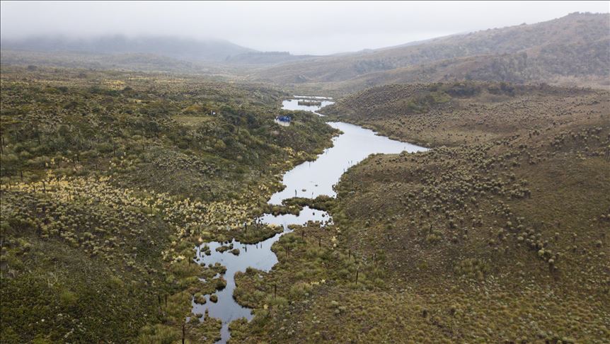 ONU hace llamado a preservar la naturaleza para prevenir las pandemias