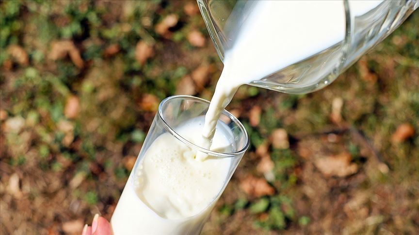Süt sektöründe Çin'e ihracat hareketliliği