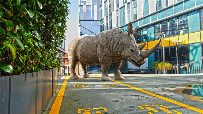 Istanbul artist uses rhinos to raise awareness