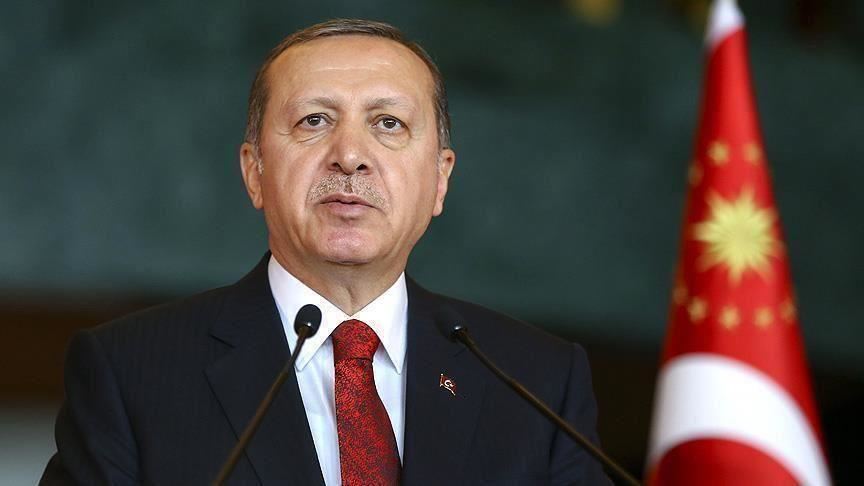 أردوغان: تركيا تحمي مصالحها في البر والبحر