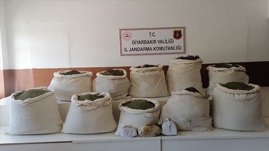 Turkey: Nearly 2.5M cannabis sativa roots seized