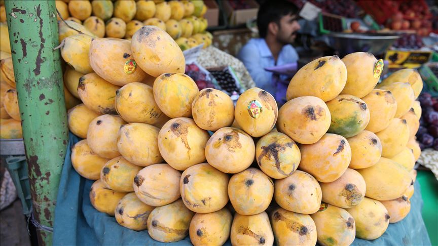 Pakistan S Mango Exports Hugely Hit By Coronavirus Restrictions