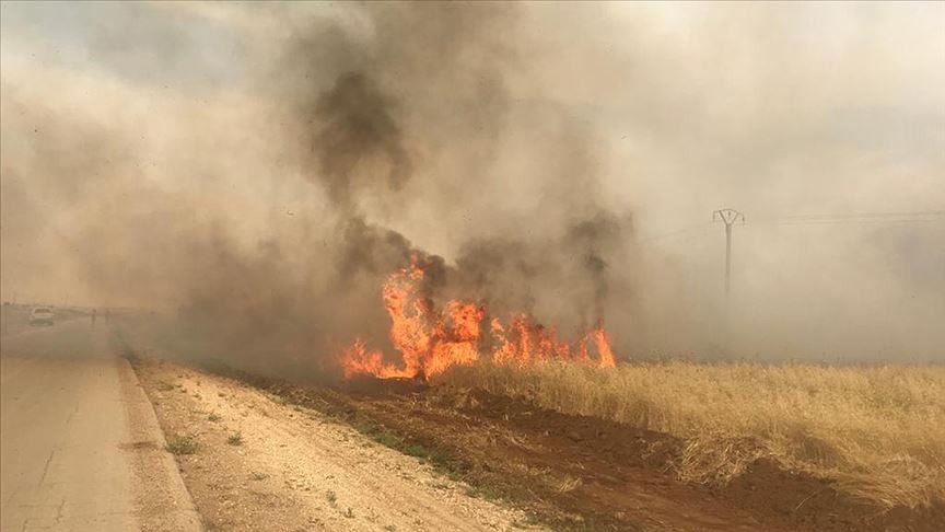 مصادر أمنية تركية: إرهابيو "بي كا كا" يحرقون حقول "نبع السلام"