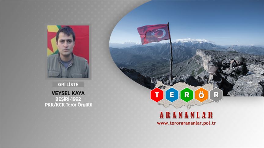 Bitlis'te etkisiz hale getirilen bir teröristin daha gri listede olduğu belirlendi