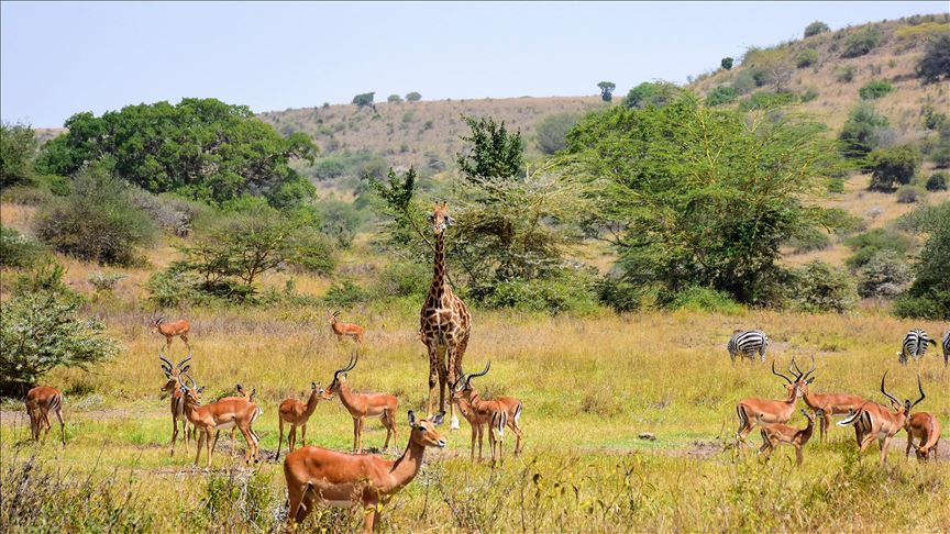 Botswana to re-open wildlife national park